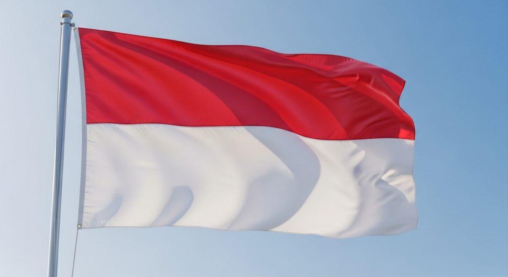 Indonesia Visit Visa Cost for citizens of Pakistan